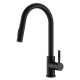 Matt Black Pull Out Kitchen Mixer