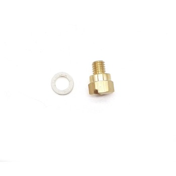 Small Drain Screw & Washer (FW0251)